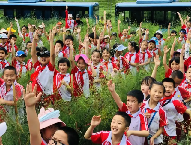 完善机制优化实践路径让生命教育在学校中稳稳扎根继续生长 完善机制优化实践路径让生命教育在学校中稳稳扎根继续生长